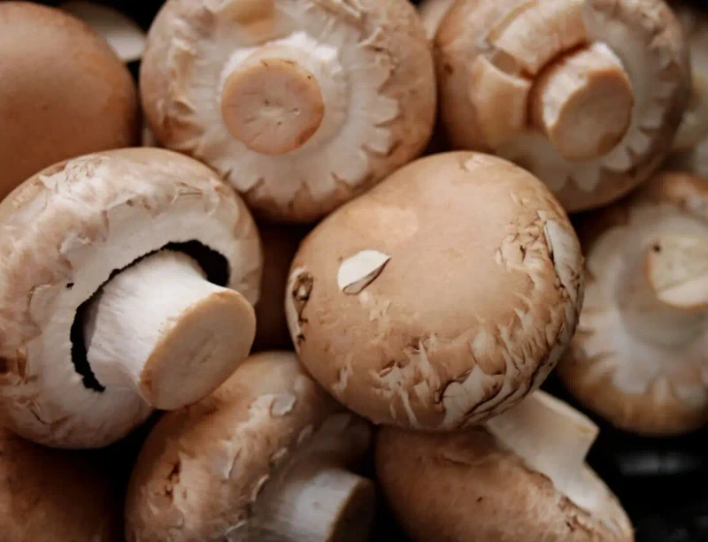 Champignons